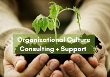 Organizational Culture Consulting & Support